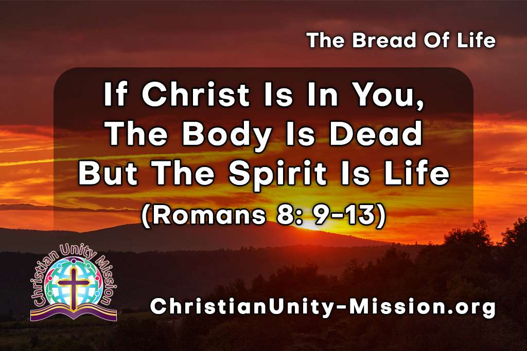 Video Image