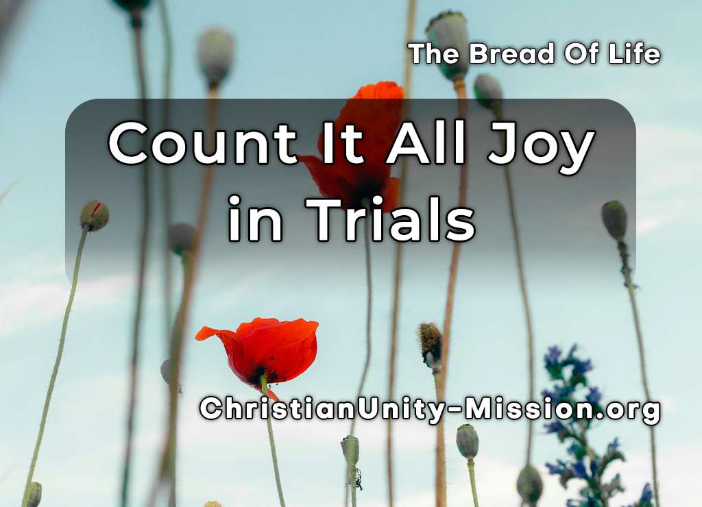 Video Image