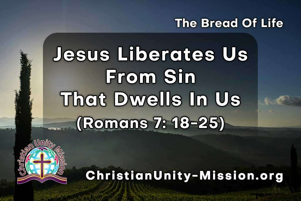Video Image