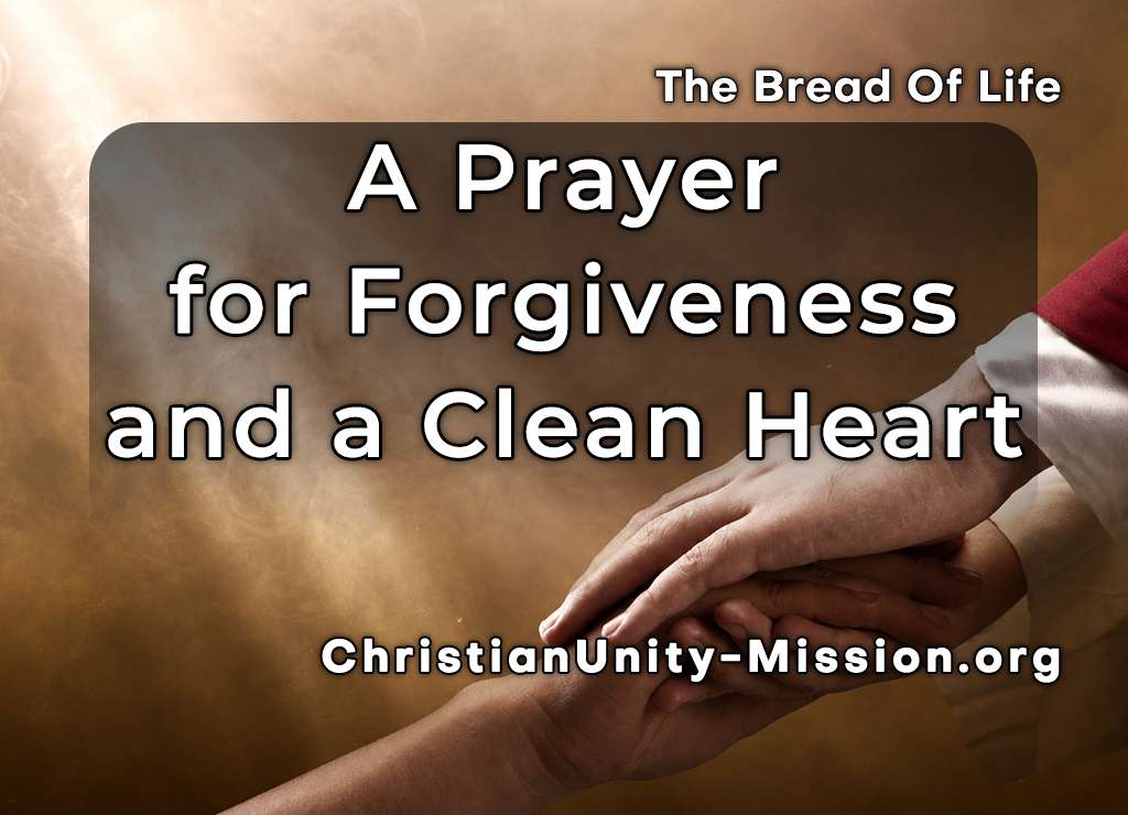 Video Image