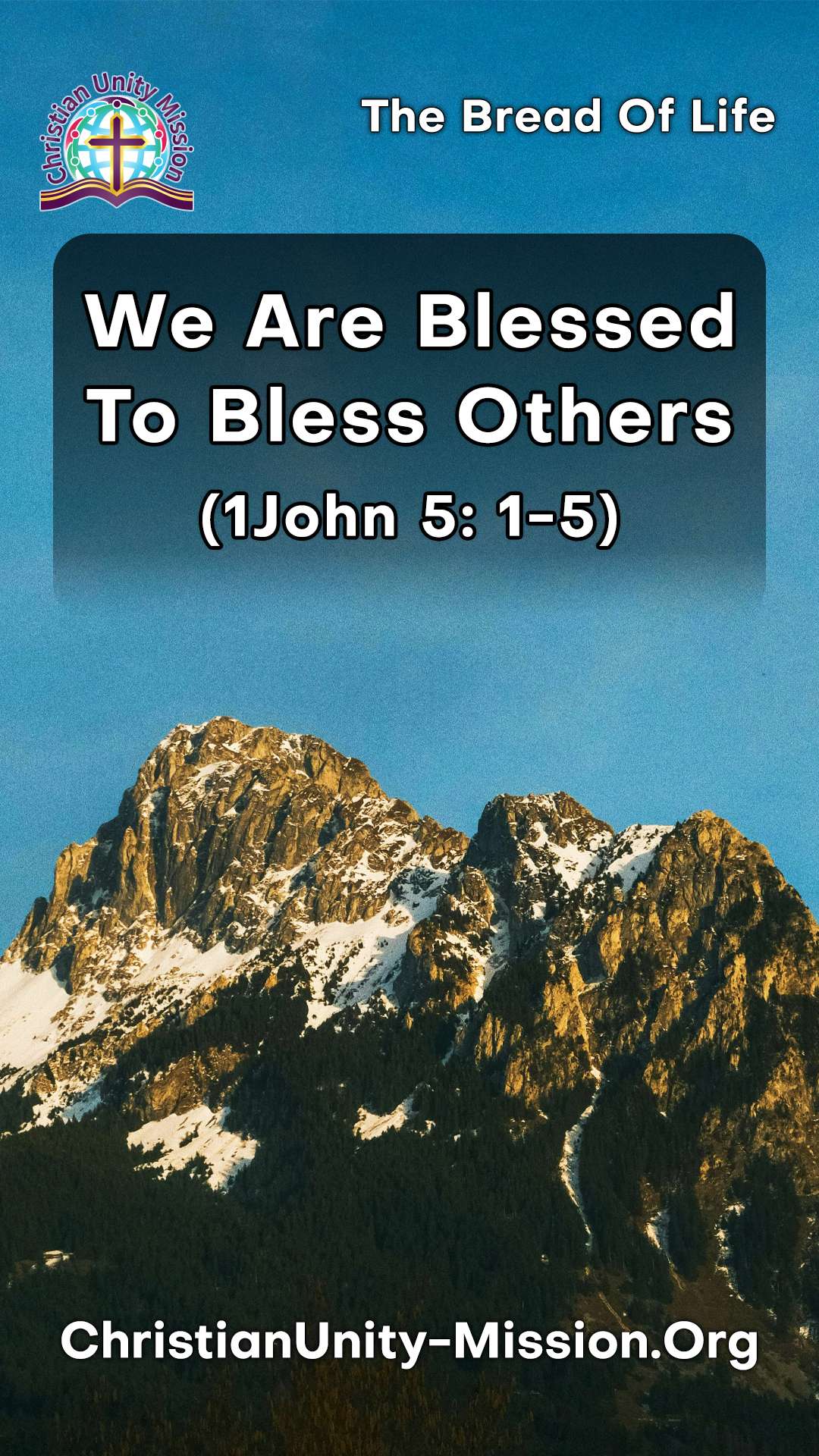 Video Image