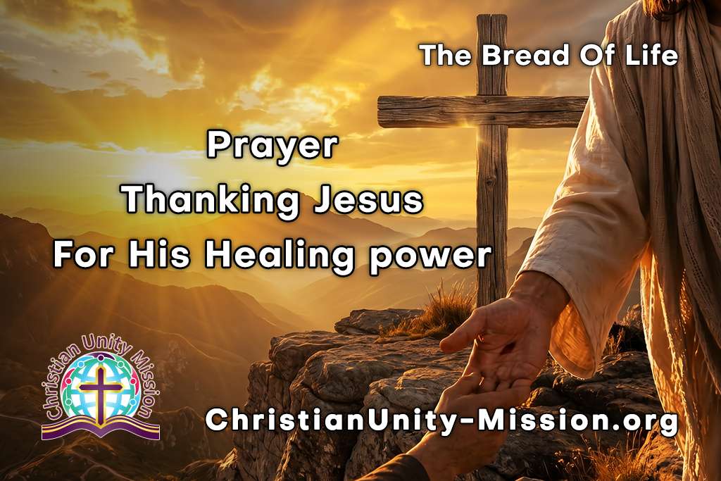 Video Image