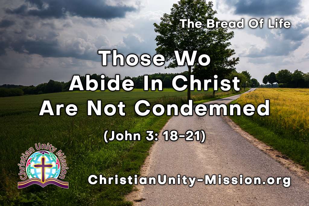 Video Image