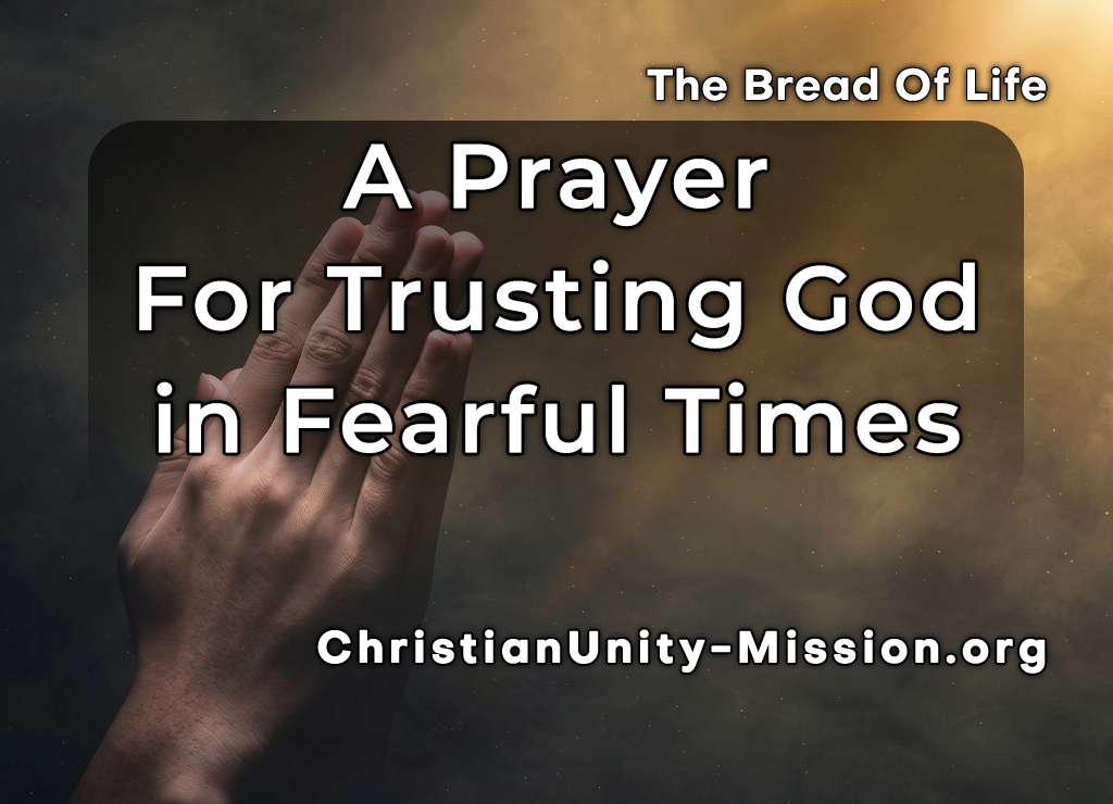 Video Image