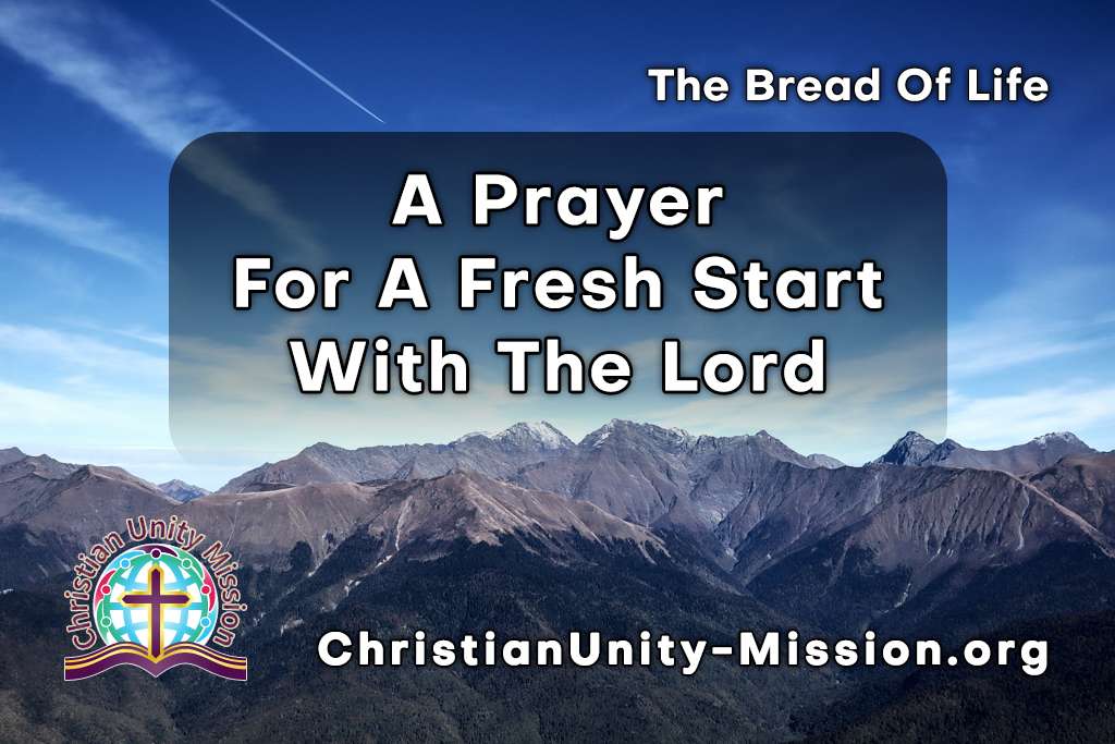 Video Image