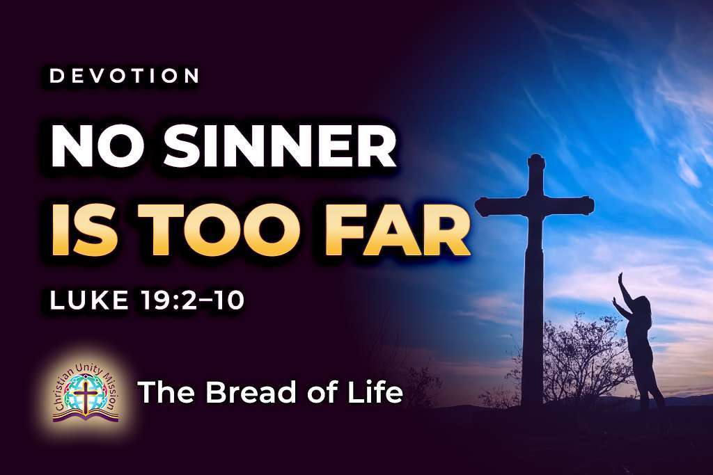 Video Image