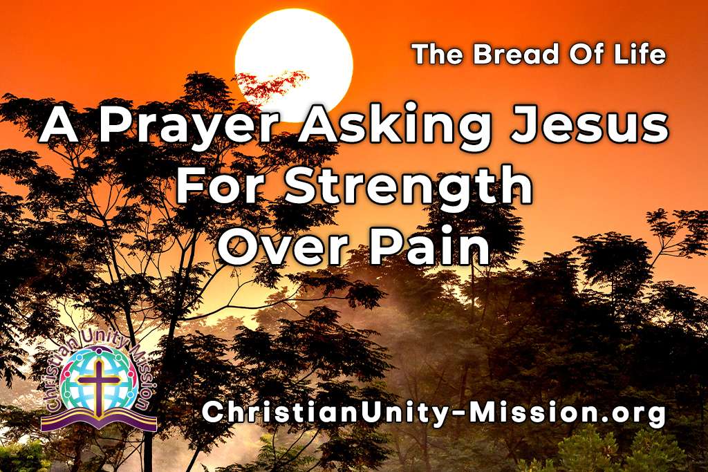 Video Image