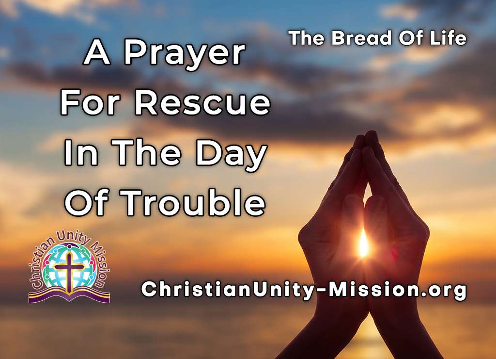 Video Image
