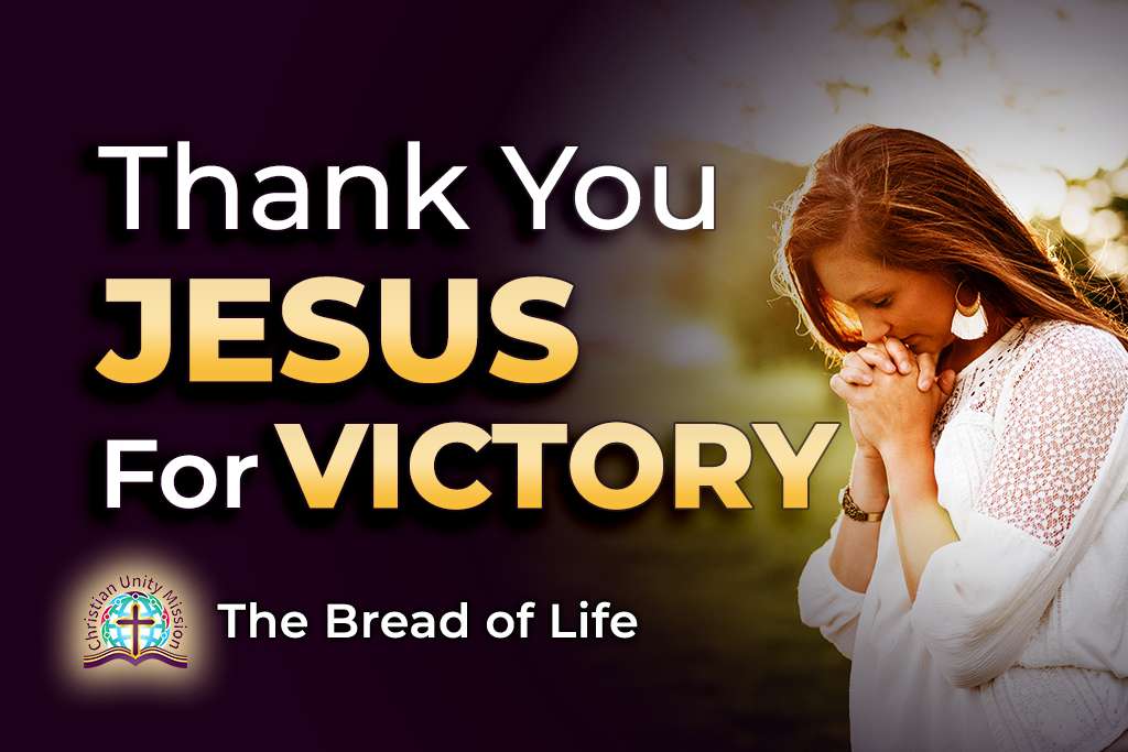 Video Image