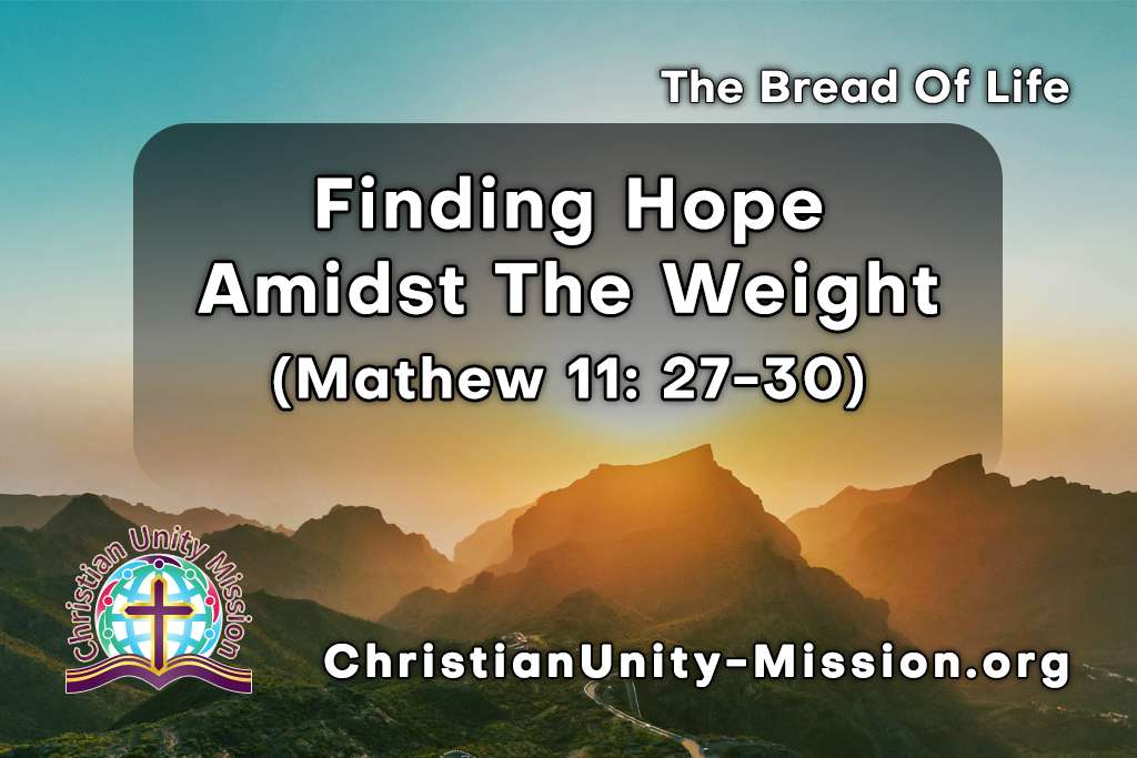 Video Image