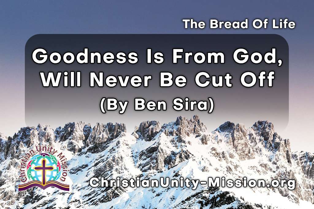 Video Image