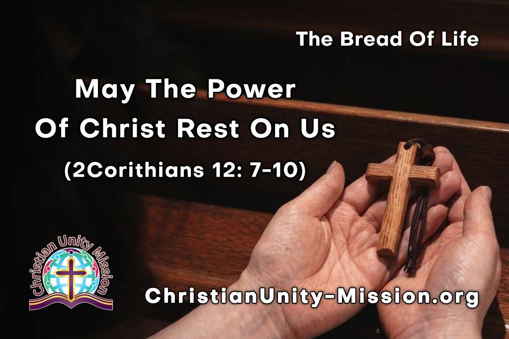 Video Image