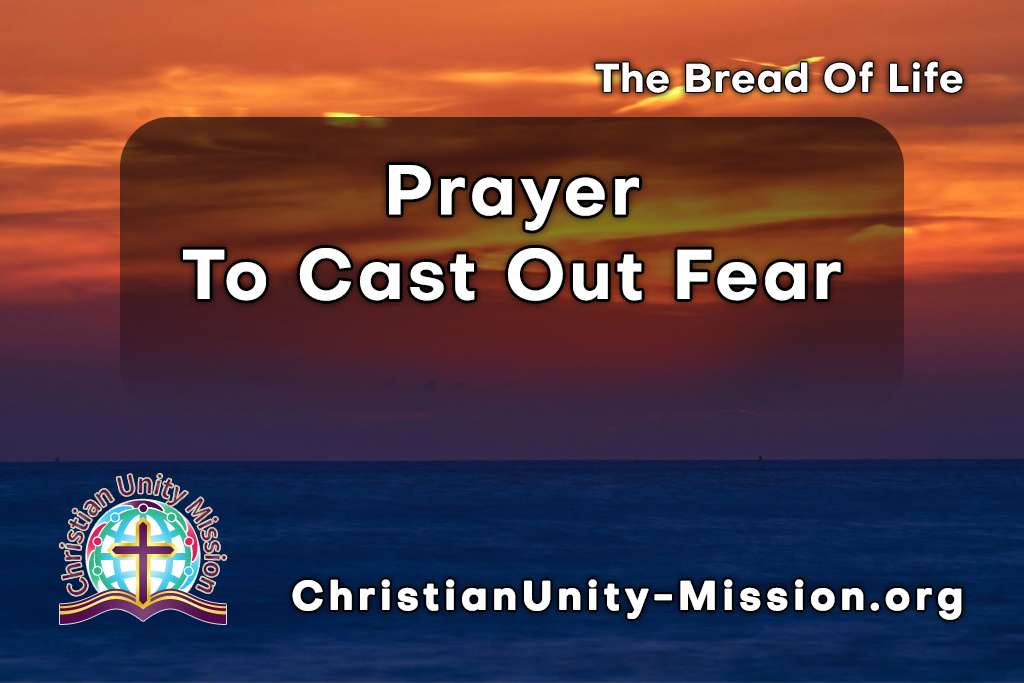 Video Image