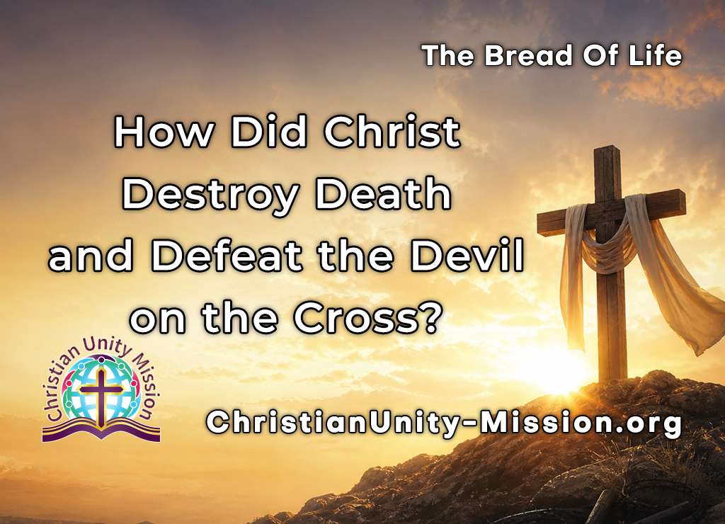 Video Image