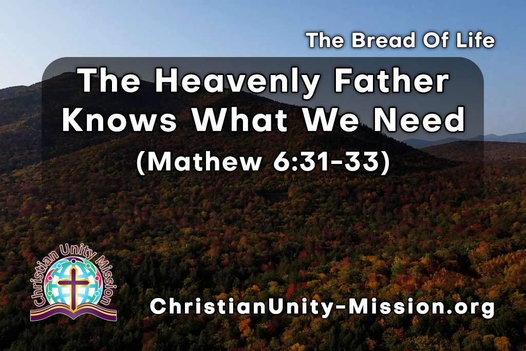 Video Image