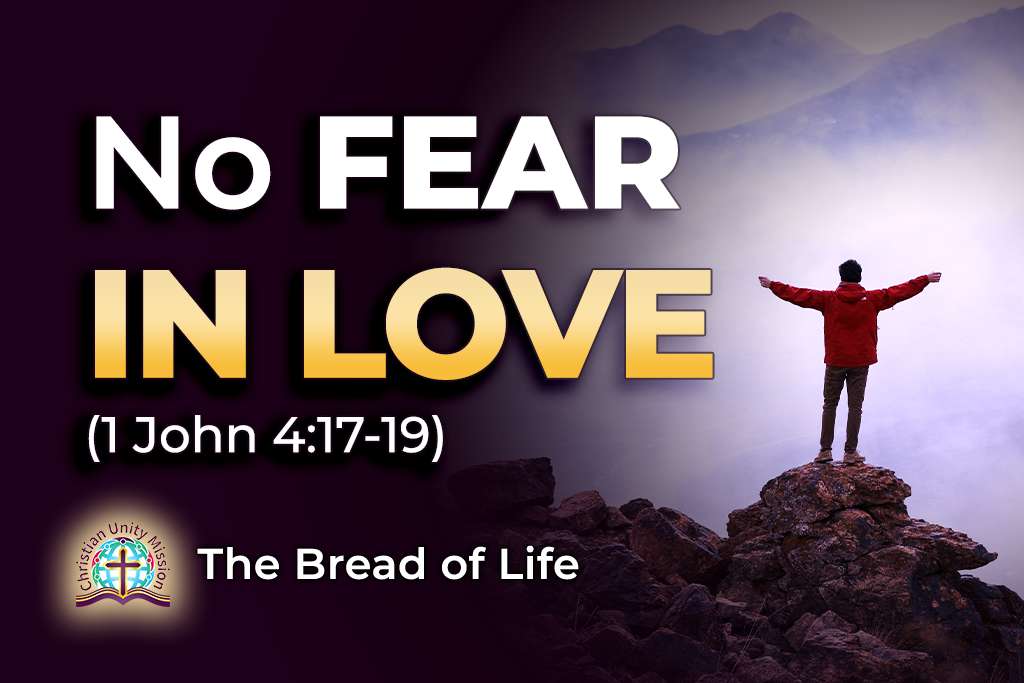 Video Image