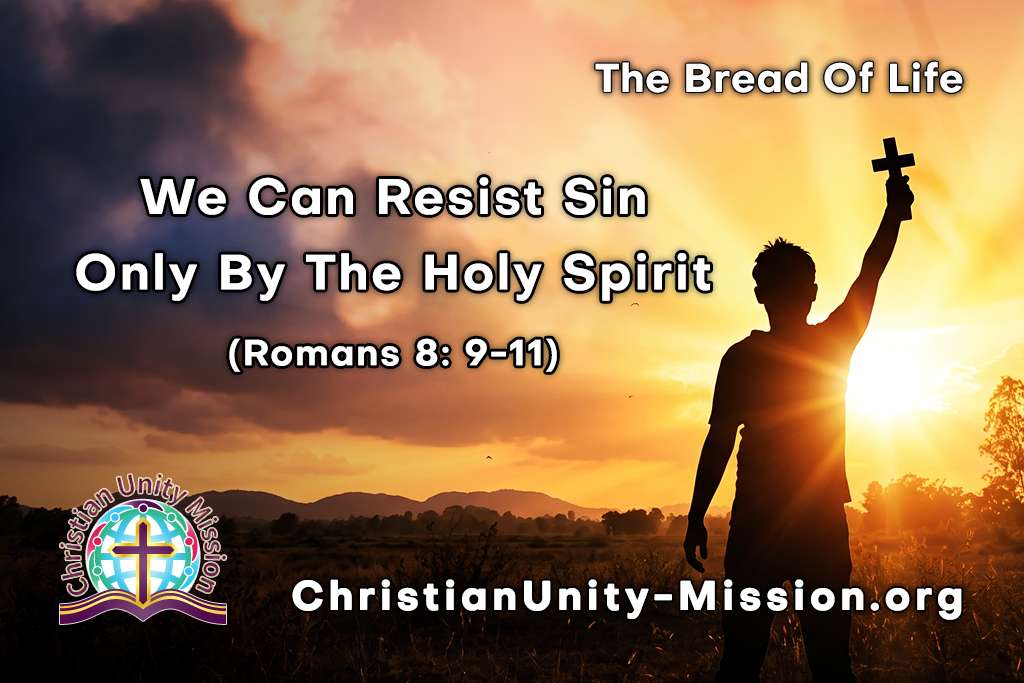 Video Image