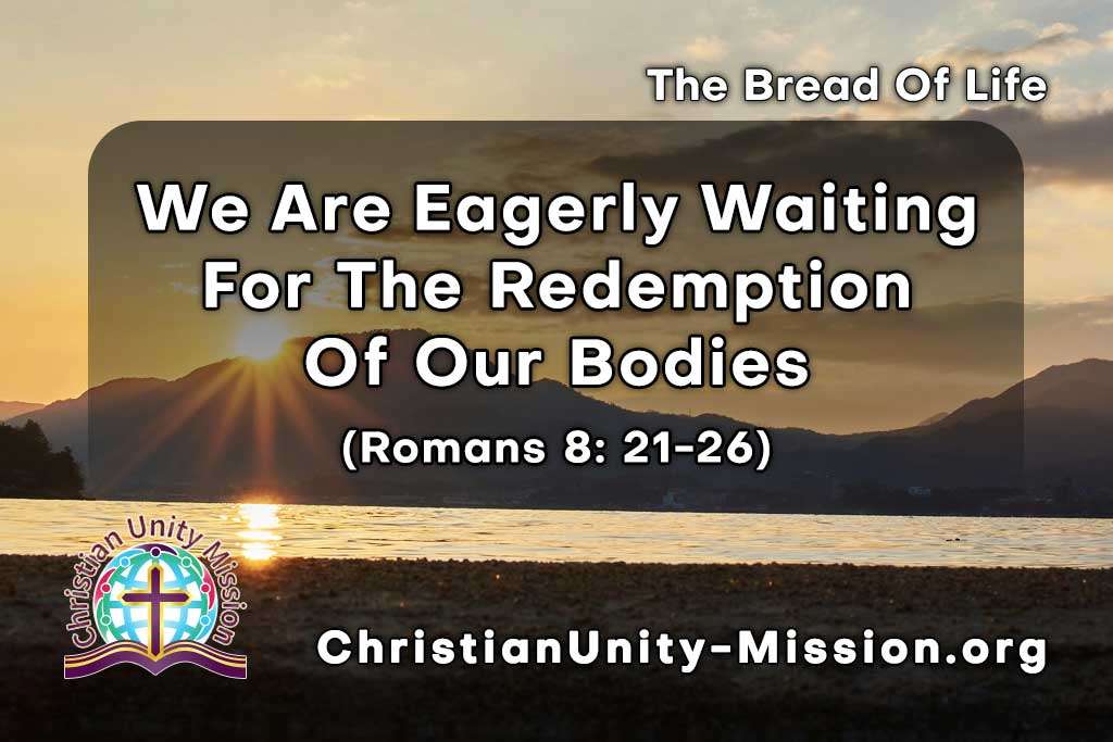 Video Image