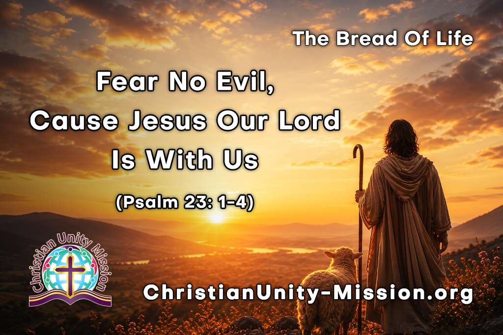 Video Image