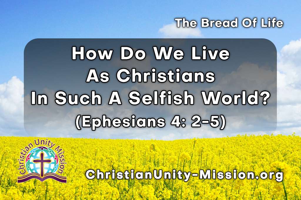 Video Image