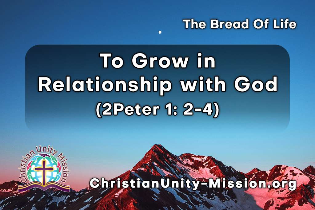 Video Image