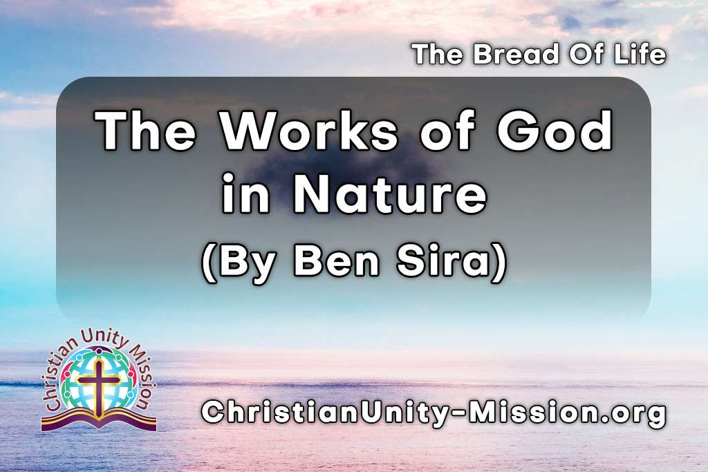 Video Image