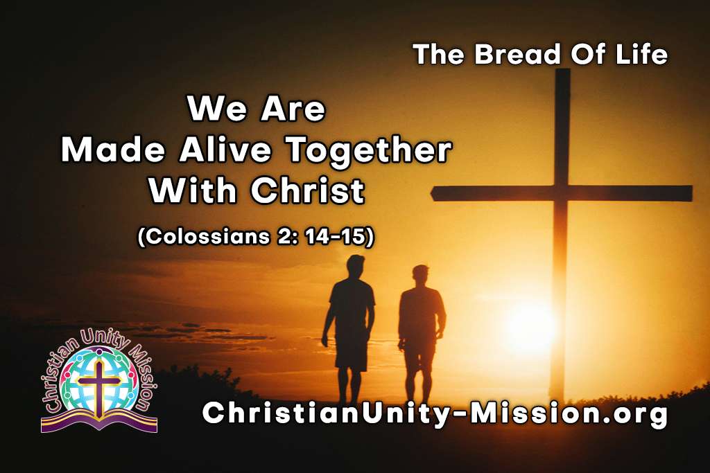 Video Image