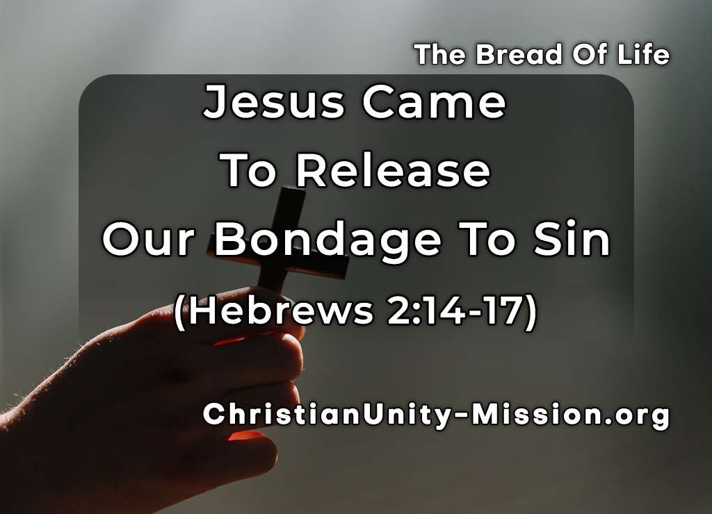 Video Image