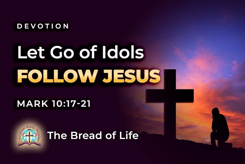 Video Image