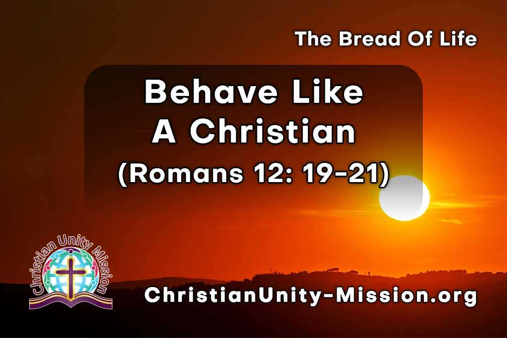 Video Image