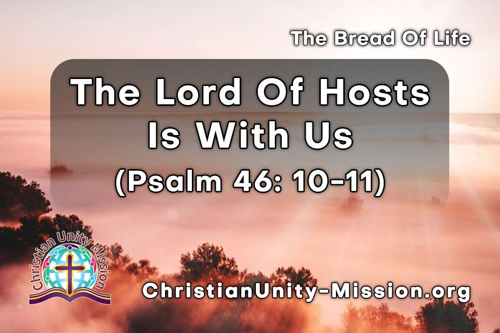 Video Image