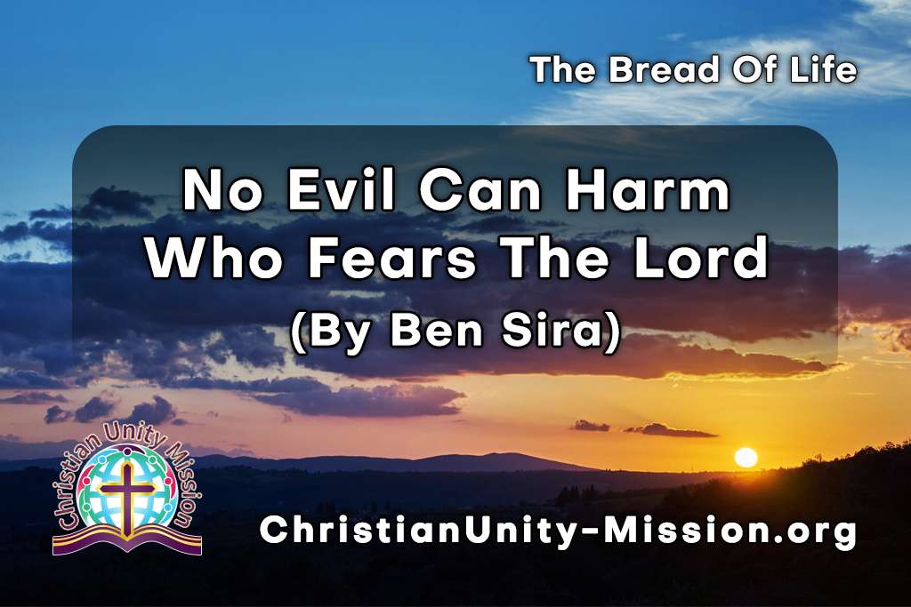 Video Image