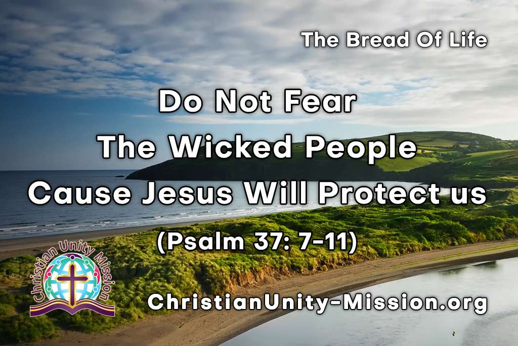 Video Image