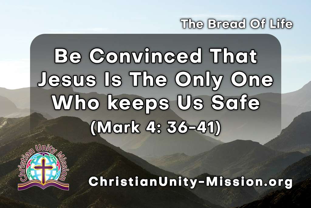 Video Image