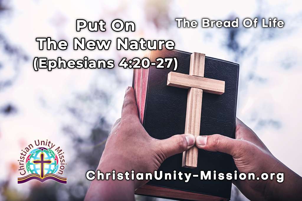 Video Image