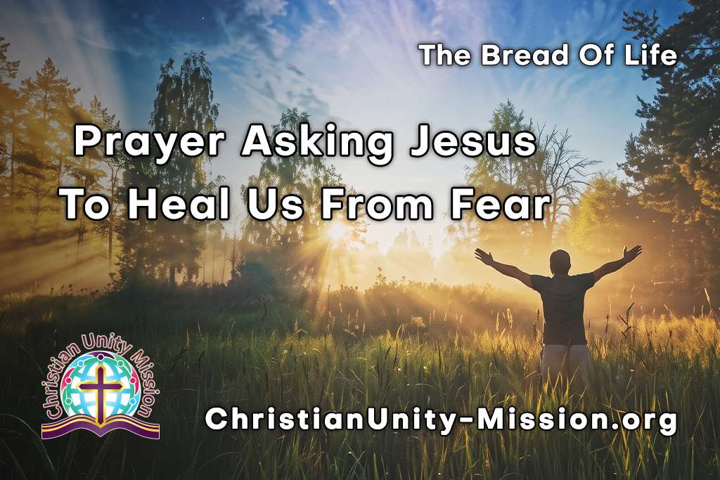 Video Image