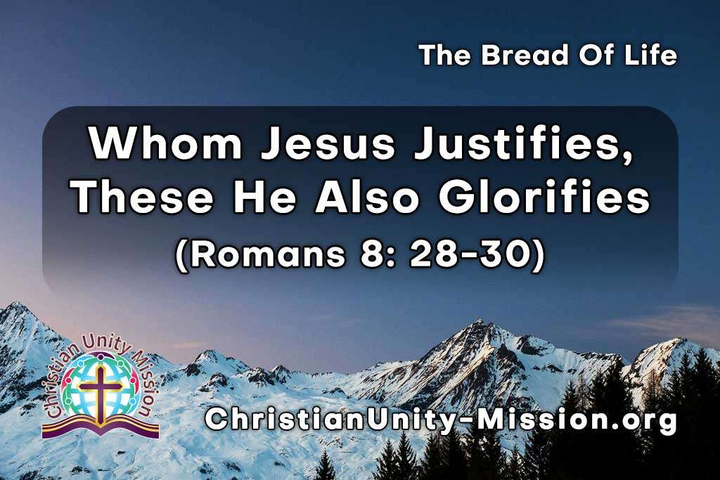 Video Image