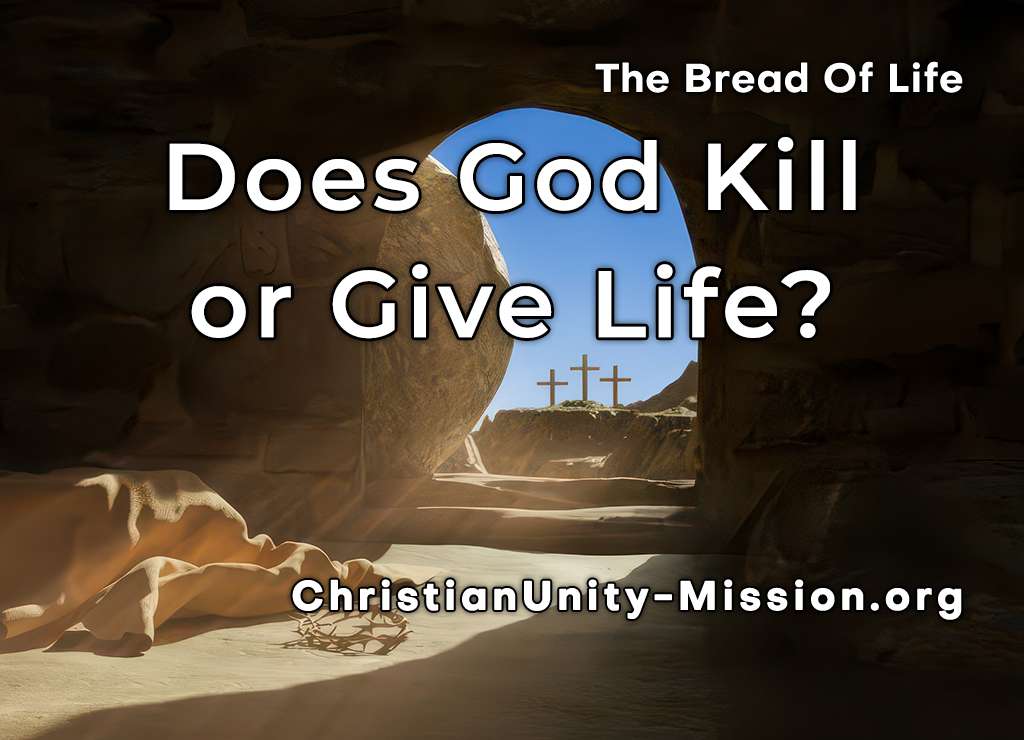 Video Image