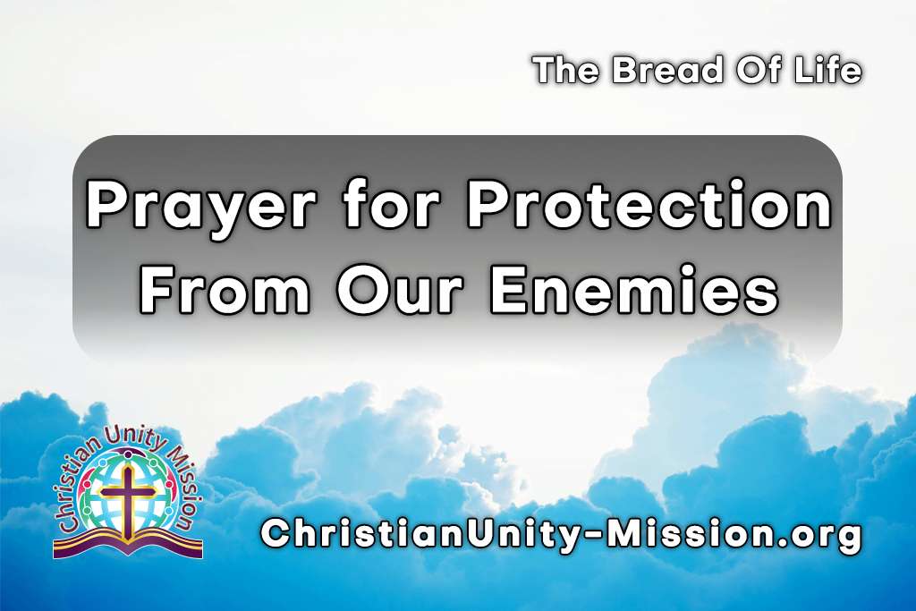 Video Image