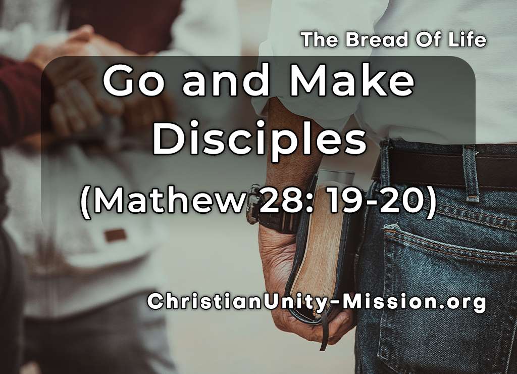 Video Image