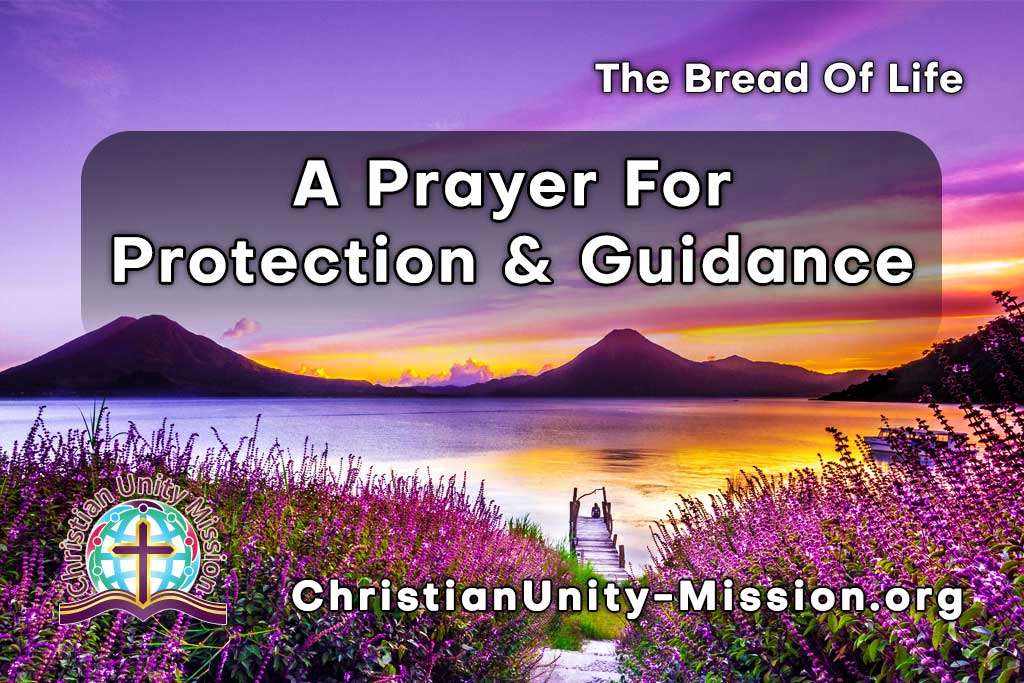 Video Image