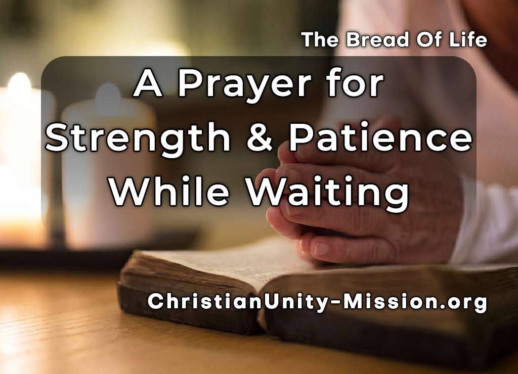 Video Image