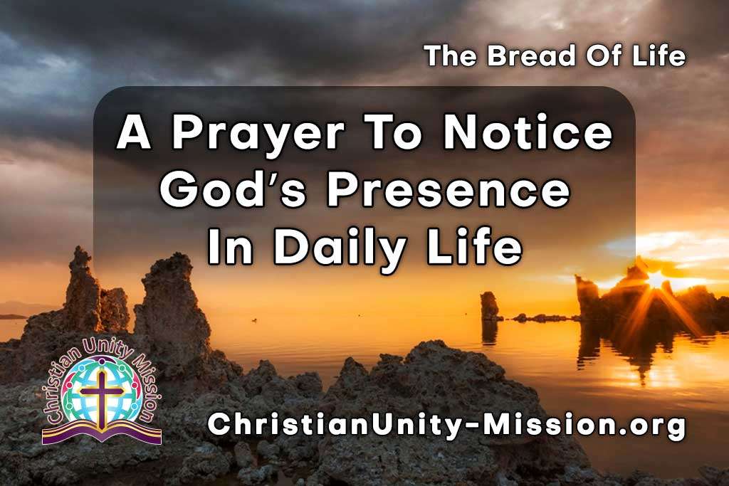 Video Image
