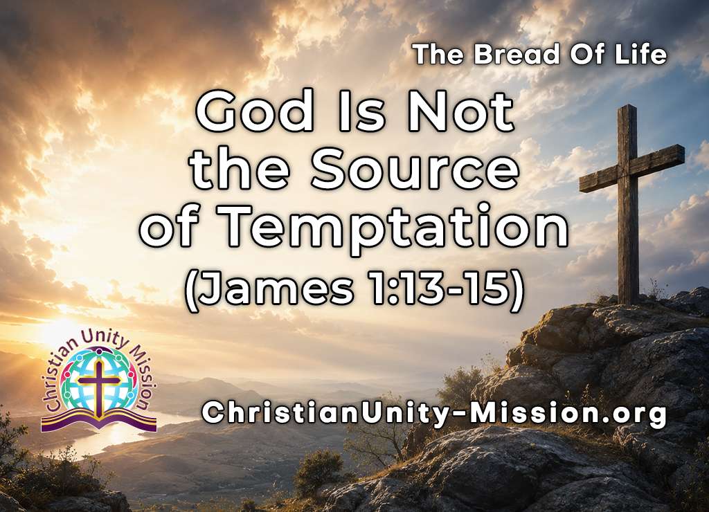 Video Image