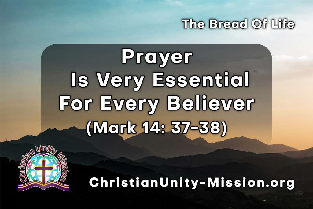 Video Image