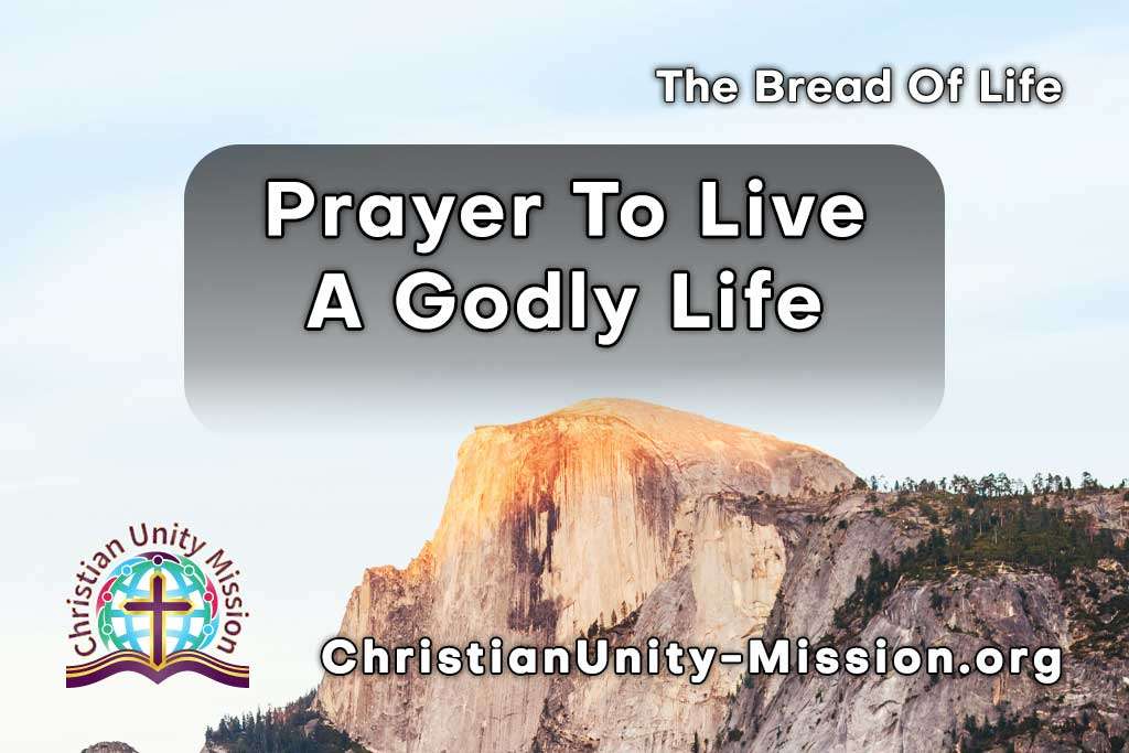 Video Image