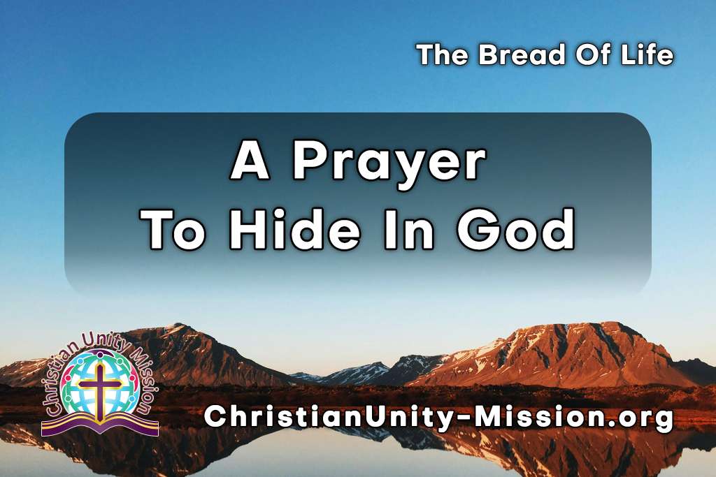 Video Image