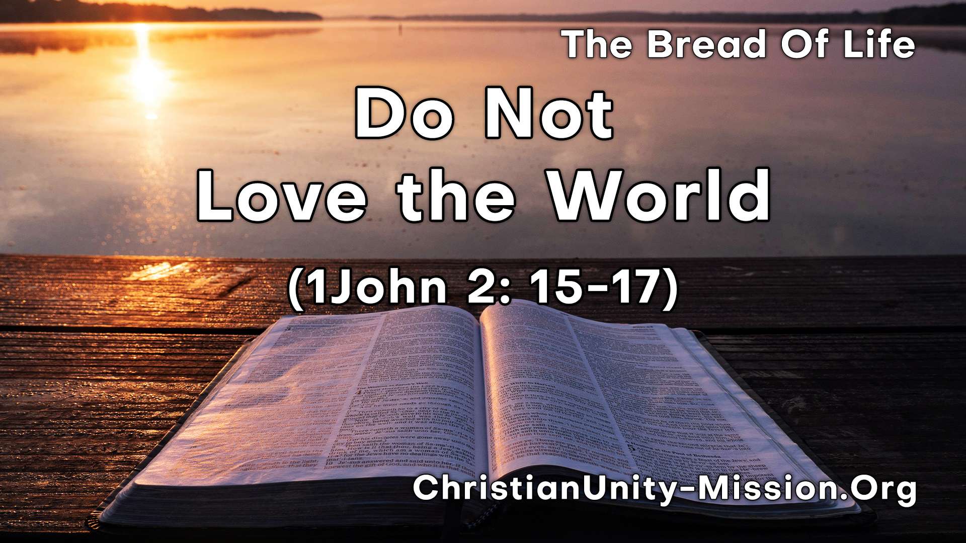 Video Image
