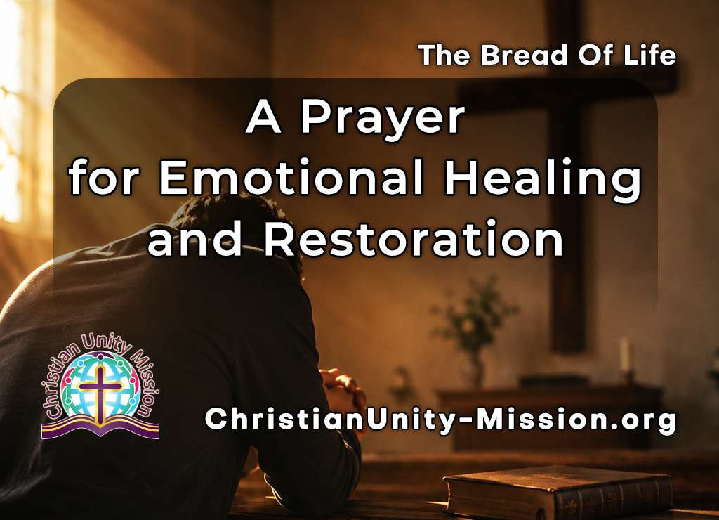 Video Image