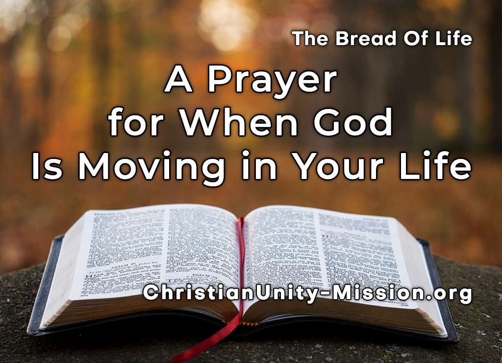 Video Image